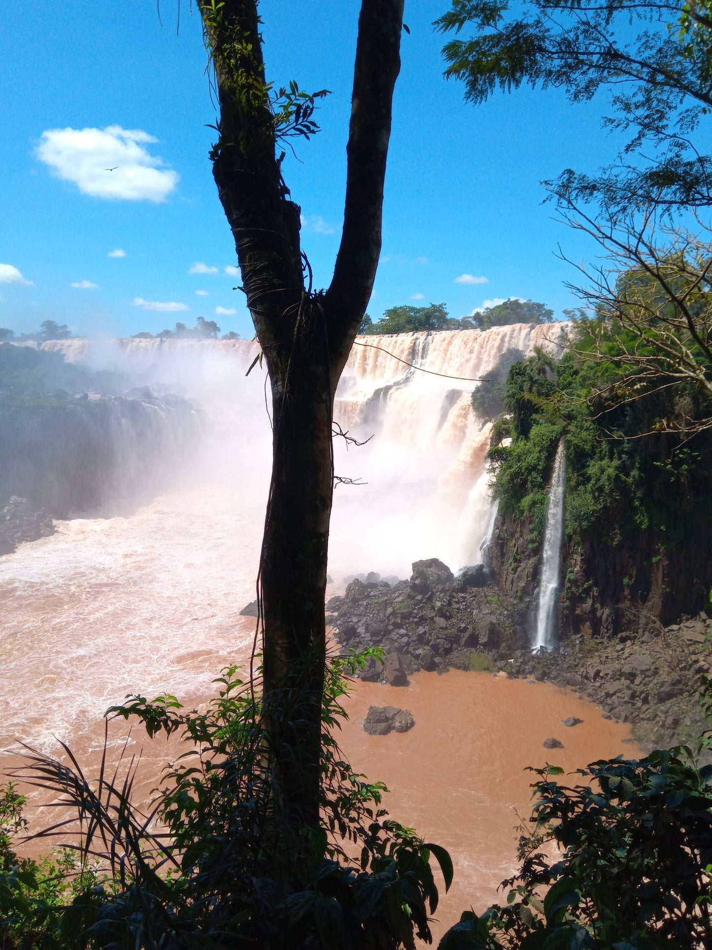 Servicio de receptivo - Reserva de Guías de Turismo y más servicios - Cataratas del Iguazú