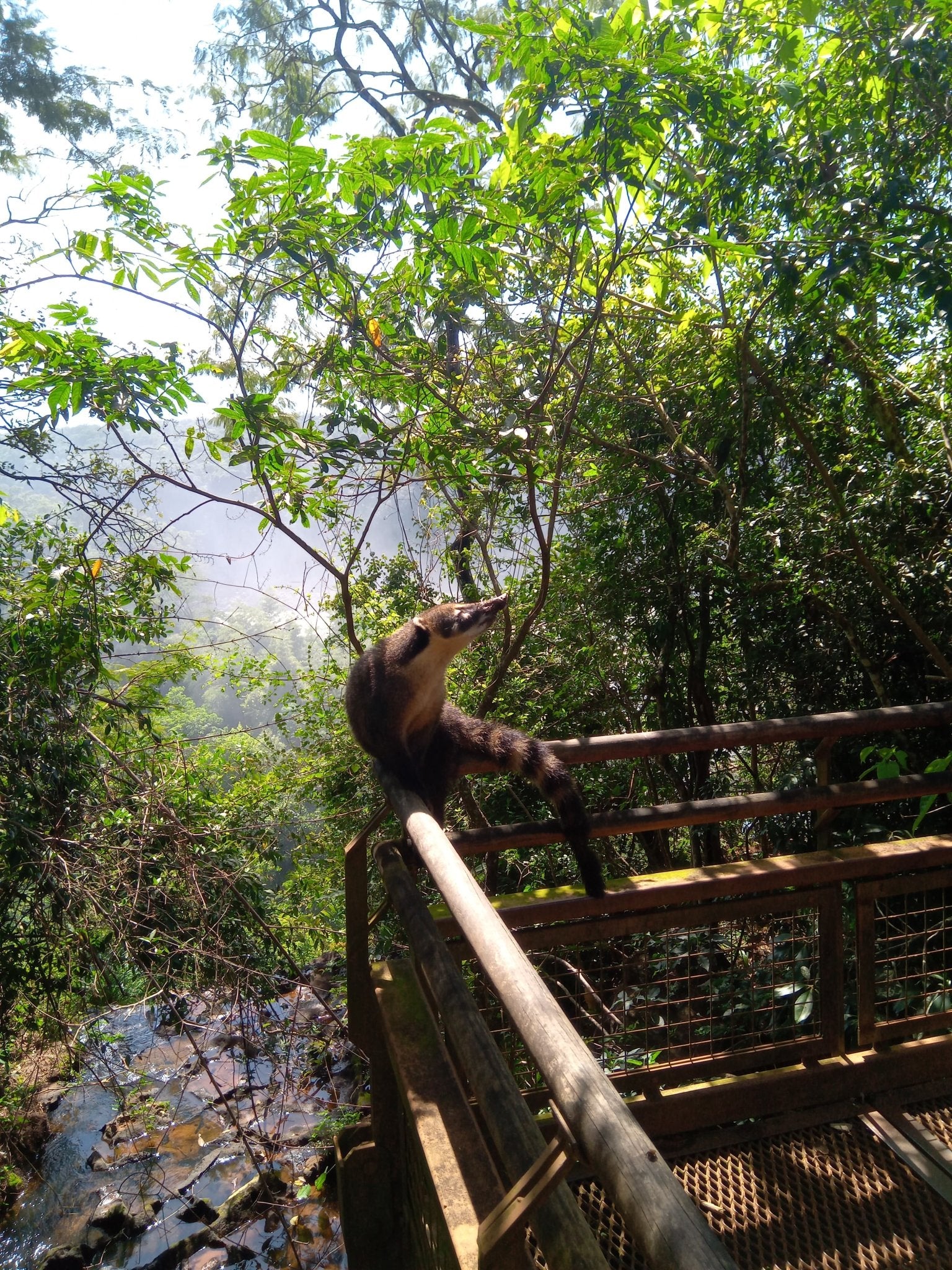 Servicio Familiar Parque Nacional Iguazú - Reserva de Guías de Turismo y más servicios - Cataratas del Iguazú