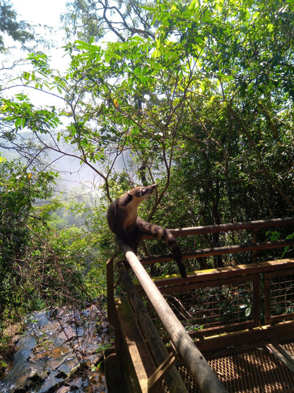 Servicio Familiar Parque Nacional Iguazú - Reserva de Guías de Turismo y más servicios - Cataratas del Iguazú