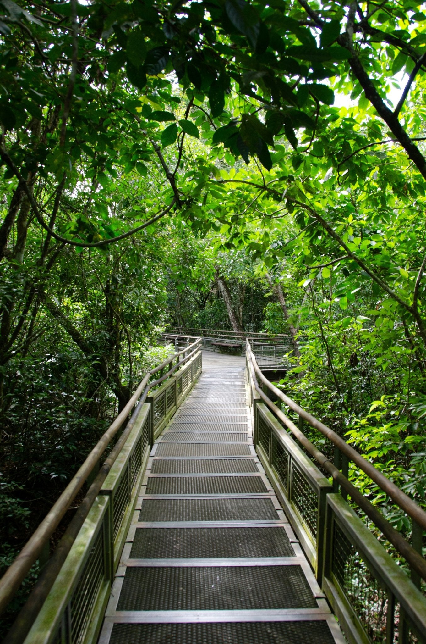 Servicio Familiar Parque Nacional Iguazú - Reserva de Guías de Turismo y más servicios - Cataratas del Iguazú