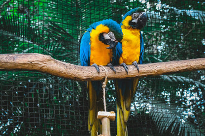 Servicios especiales en toda la región - Reserva de Guías de Turismo y más servicios - Cataratas del Iguazú