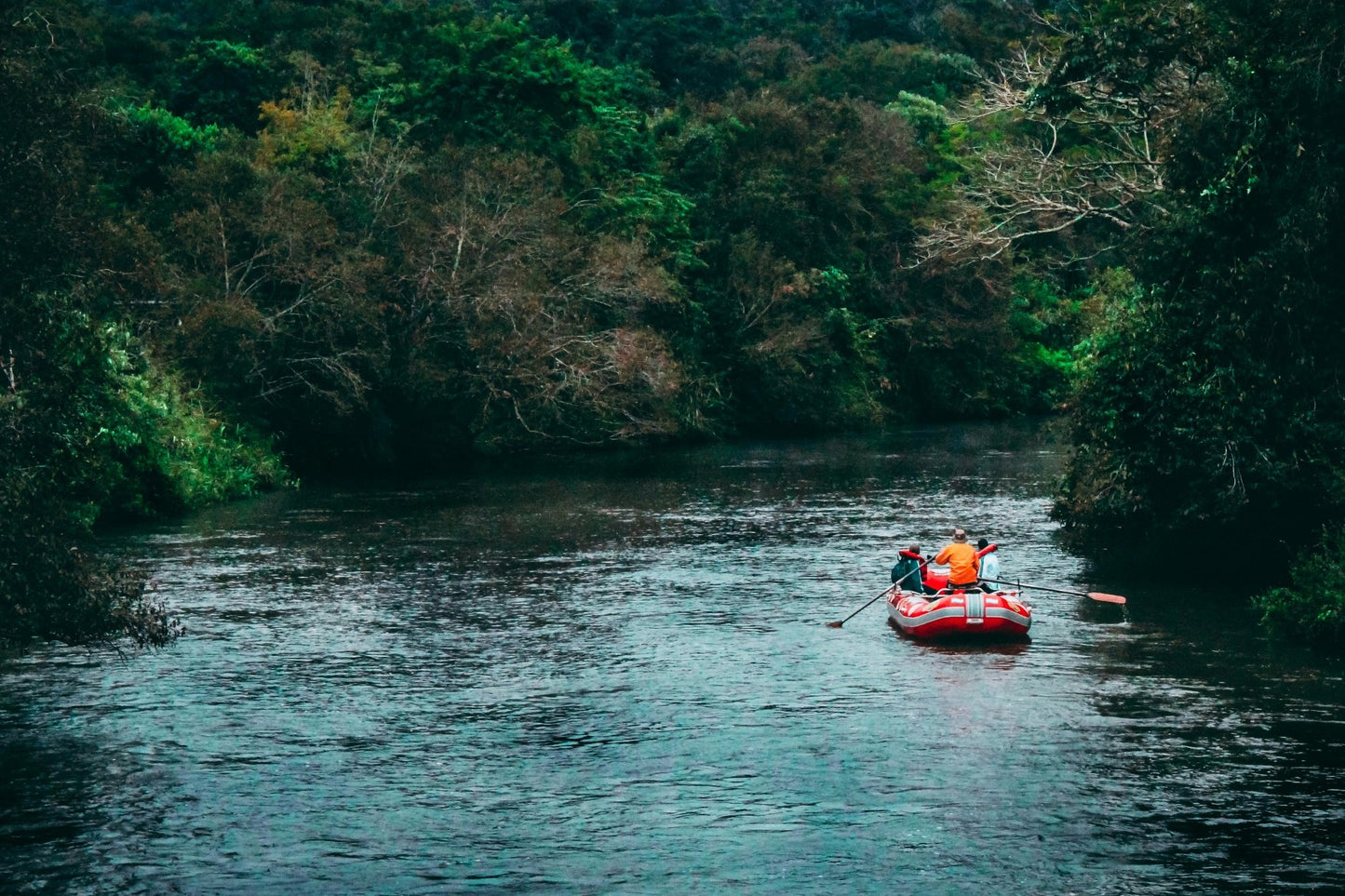 Servicios especiales en toda la región - Reserva de Guías de Turismo y más servicios - Cataratas del Iguazú