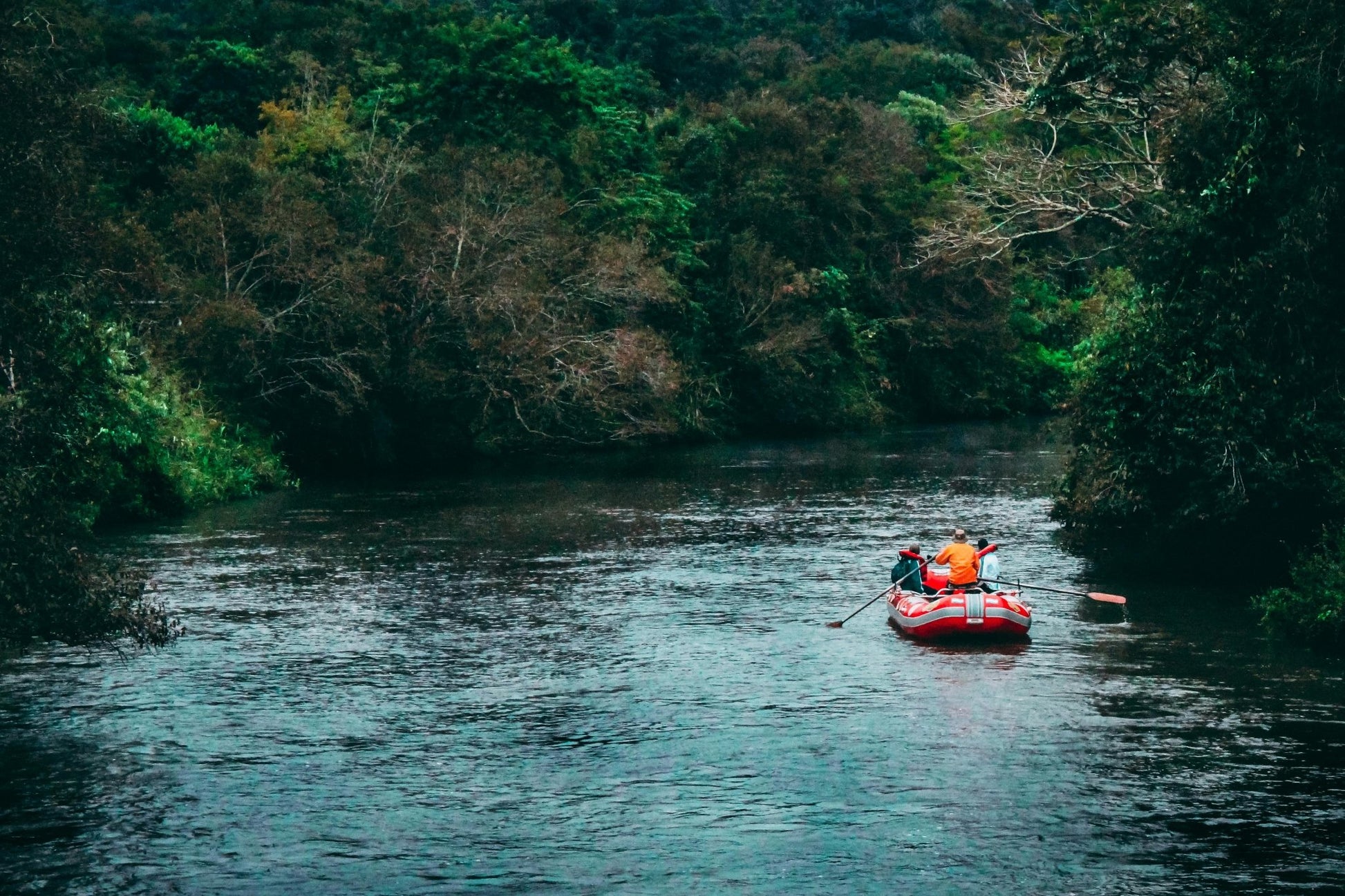 Servicios especiales en toda la región - Reserva de Guías de Turismo y más servicios - Cataratas del Iguazú