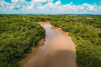 Servicios especiales en toda la región - Reserva de Guías de Turismo y más servicios - Cataratas del Iguazú