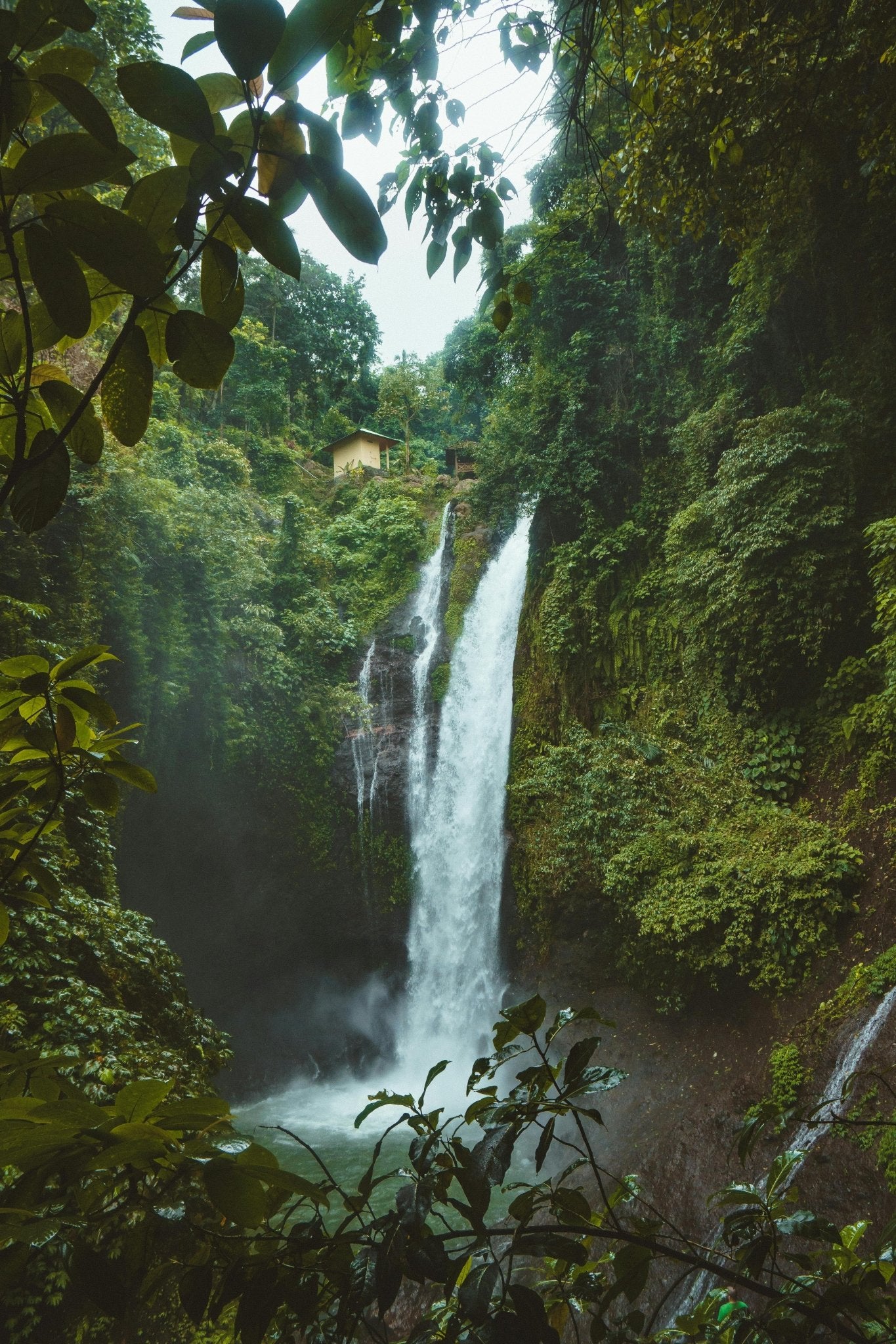 Servicios especiales en toda la región - Reserva de Guías de Turismo y más servicios - Cataratas del Iguazú