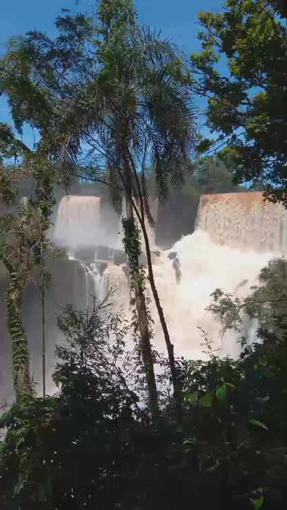 Tour Regular del Parque Nacional Iguazú