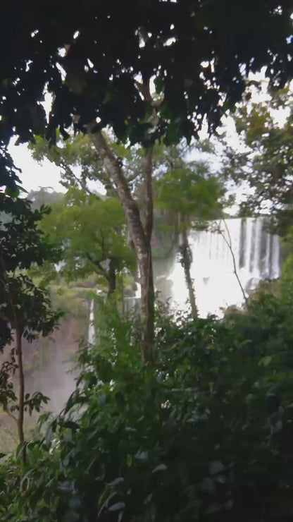 Tour Regular del Parque Nacional Iguazú