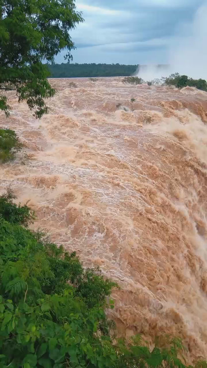 Servicio Familiar Cataratas de Brasil