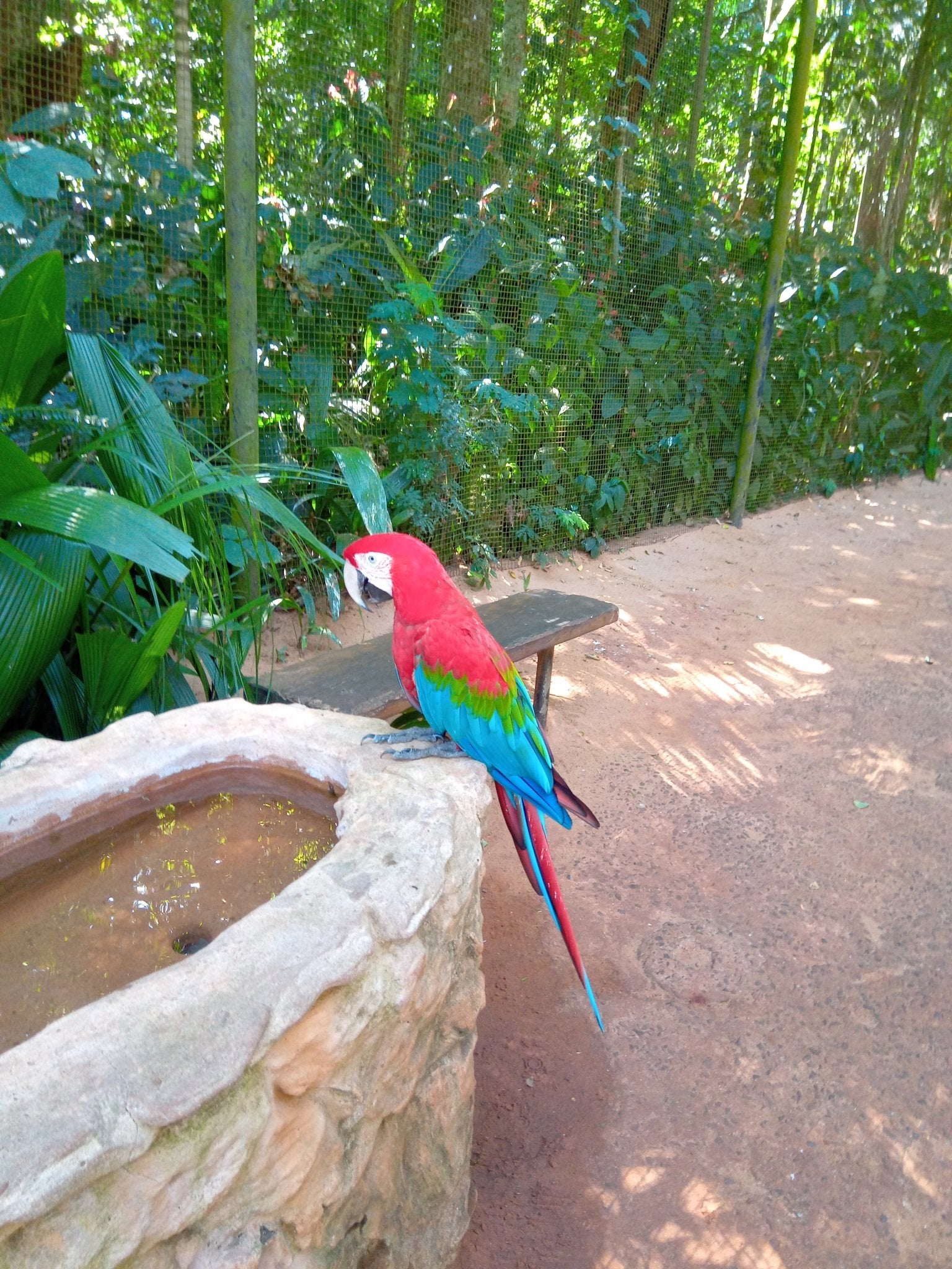 Servicio Familiar Cataratas de Brasil - Reserva de Guías de Turismo y más servicios - Cataratas del Iguazú